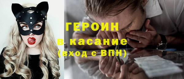 индика Богородск
