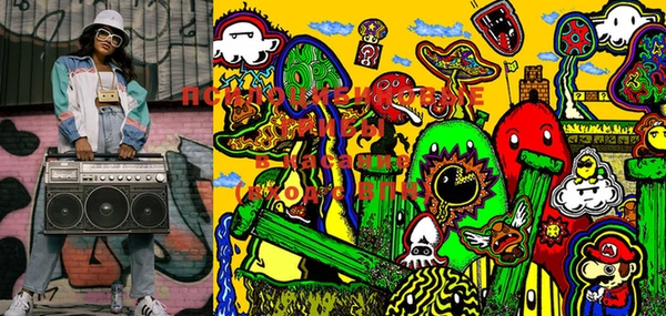 PSILOCYBIN Богданович