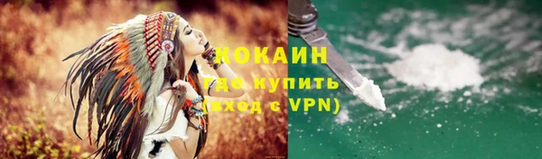 сатива Сосновка