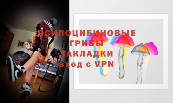 PSILOCYBIN Богданович