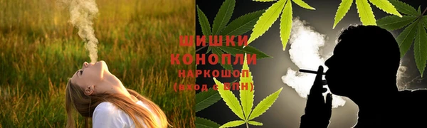 индика Богородск