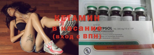 индика Богородск