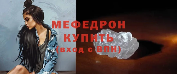 индика Богородск