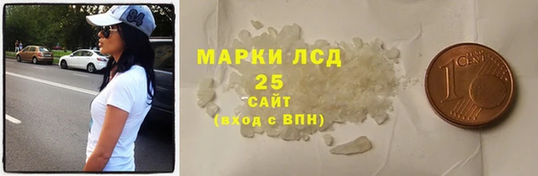 индика Богородск