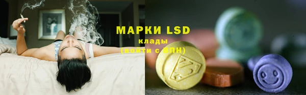PSILOCYBIN Богданович