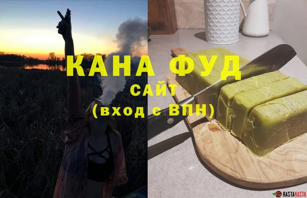 индика Богородск