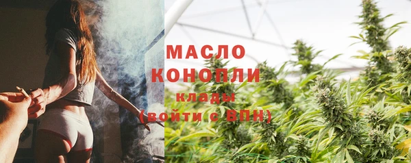 индика Богородск