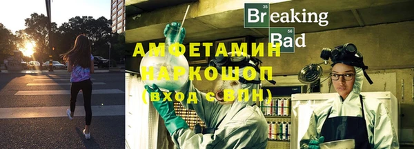 индика Богородск