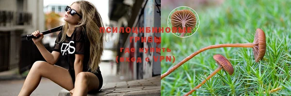 гашик Сосновый Бор