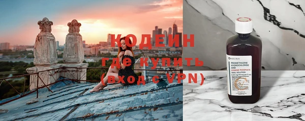 индика Богородск