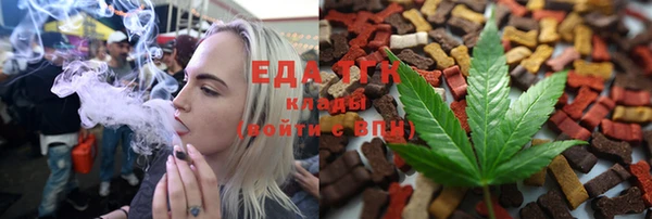 индика Богородск
