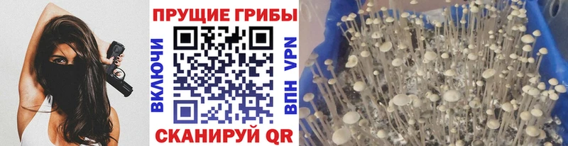 Галлюциногенные грибы мухоморы  как найти закладки  Верхняя Тура 